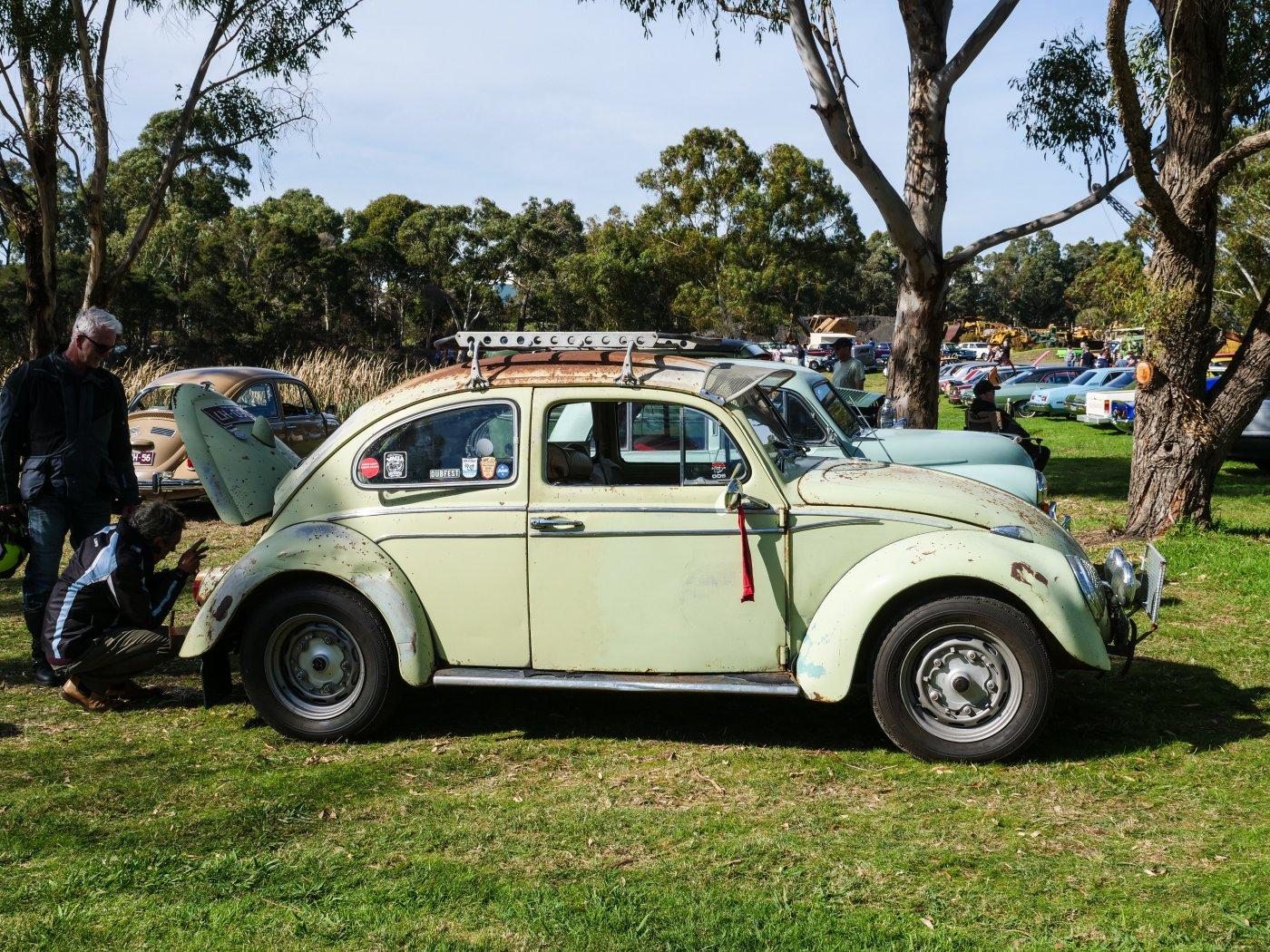 VW Beetle