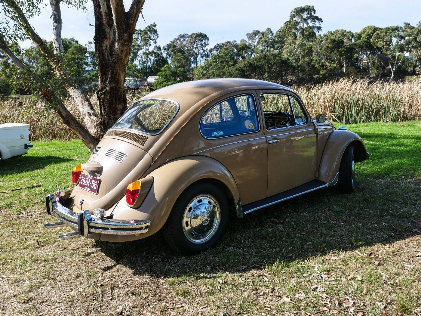 VW Beetle