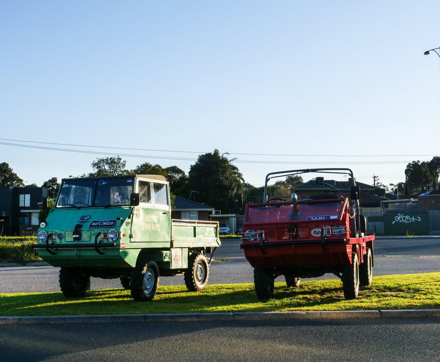 Two Haflingers parked in the morning sunshine